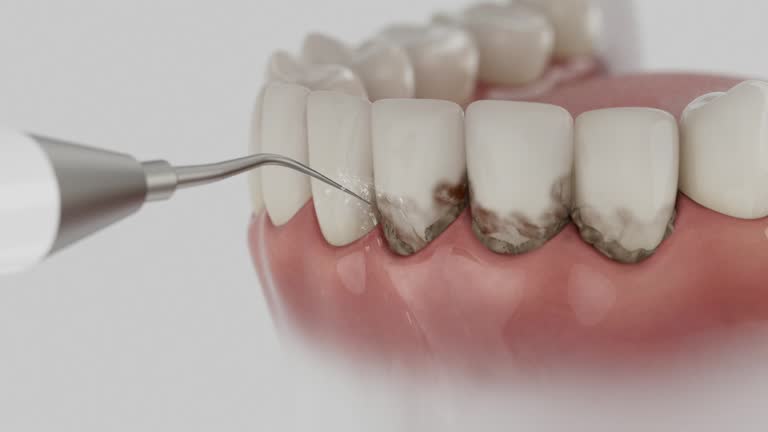 Reliable Dental contractor in Westminster, LA by Dentist Open Now